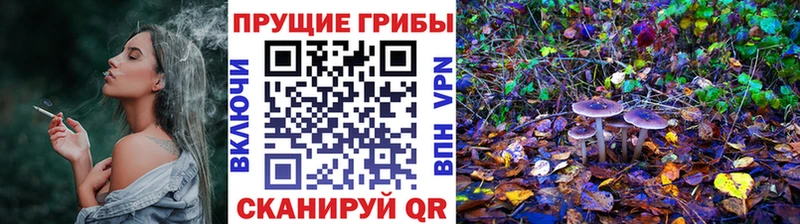 Псилоцибиновые грибы Cubensis  Лермонтов 
